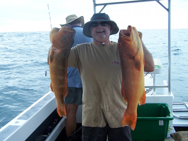 Coral Trout Monte style